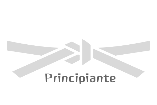 Cinta de karate principiante