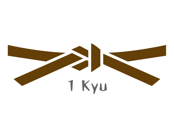 Cinta de karate primer kyu