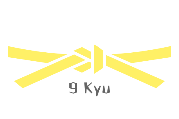 Cinta de karate noveno kyu