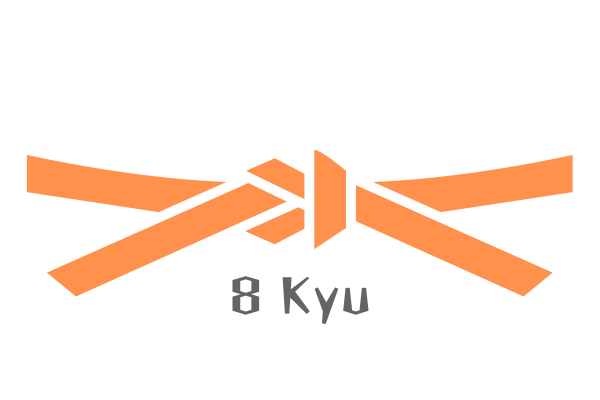 Cinta de karate octavo kyu