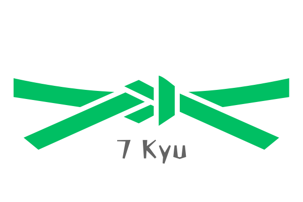 Cinta de karate séptimo kyu