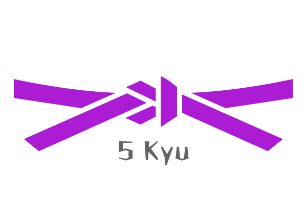 Cinta de karate quinto kyu