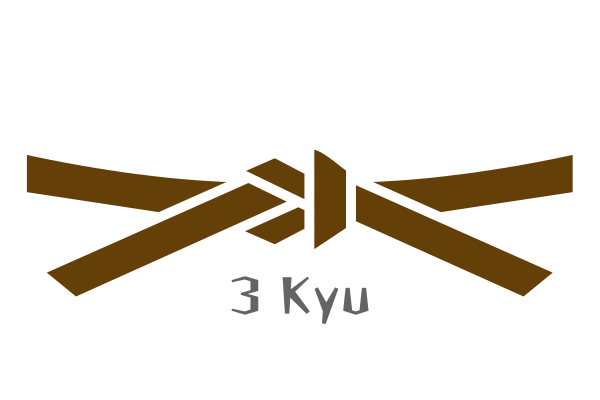 Cinta de karate tercer kyu