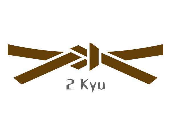 Cinta de karate segundo kyu